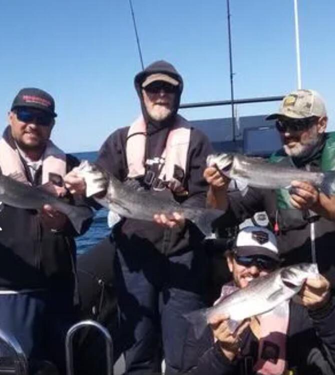 🎄 Idées cadeaux de Noël autour de La Rochelle : 6 expériences inoubliables à offrir