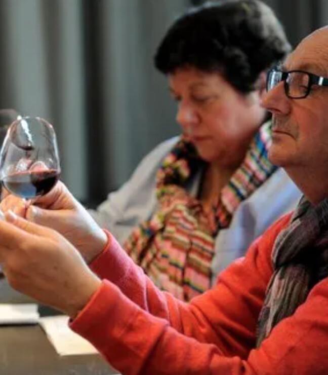 🎄 Idées cadeaux de Noël autour de La Rochelle : 6 expériences inoubliables à offrir