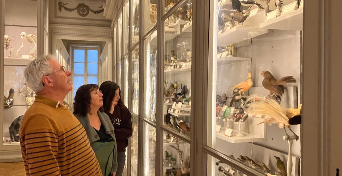 Visite gratuite des musées de La Rochelle