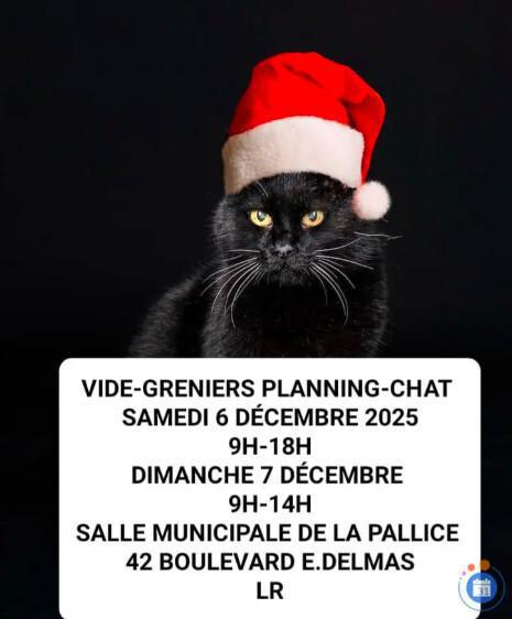 Vide-greniers en salle La Pallice