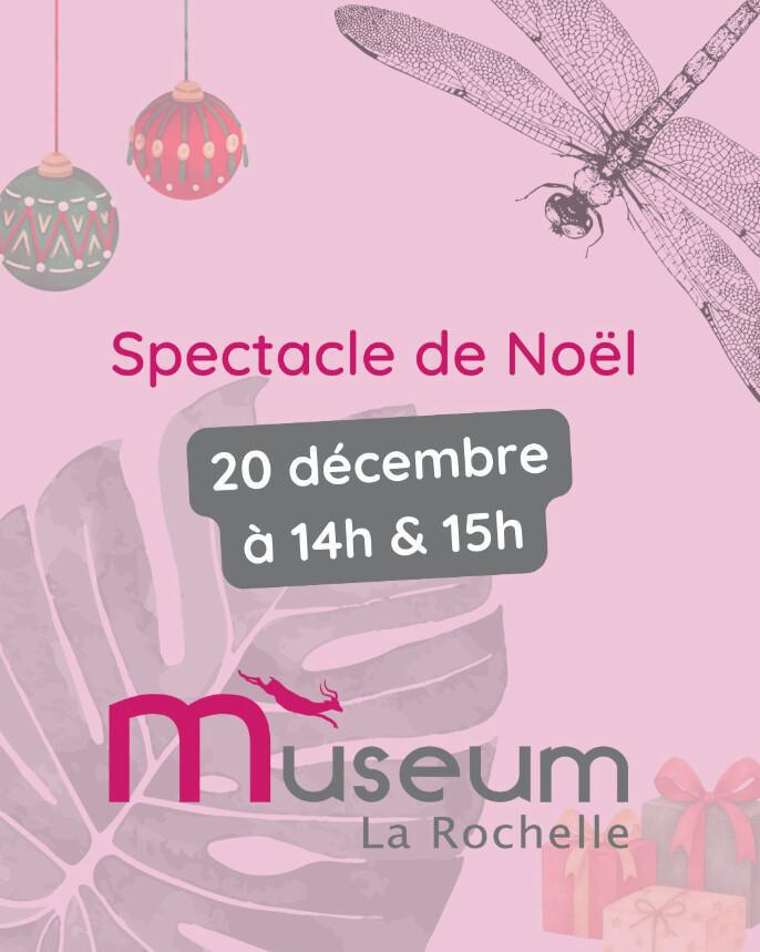 Spectacle de Noël au Muséum de La Rochelle Spectacle de Noël au Muséum de La Rochelle