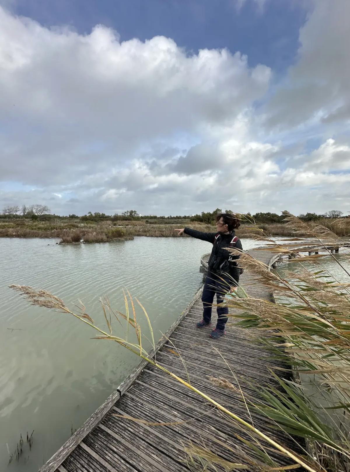 Animéa – Balades contées et animations nature