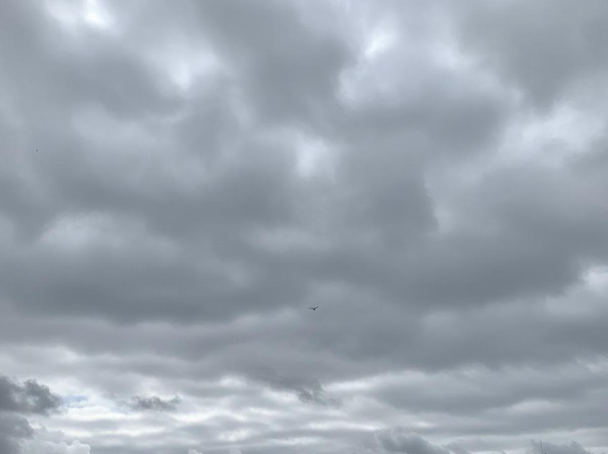 Météo La Rochelle 28 Janvier 2026 : Prévisions du jour et Horaires des marées Météo La Rochelle 28 Janvier 2026 : Prévisions du jour et Horaires des marées