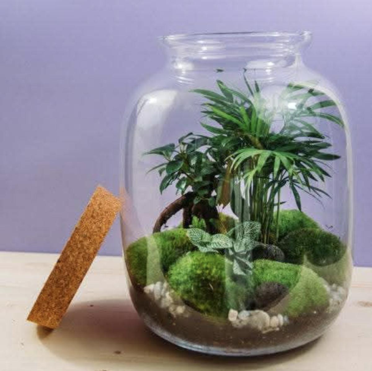 Atelier floral "mon jardin d'intérieur" 