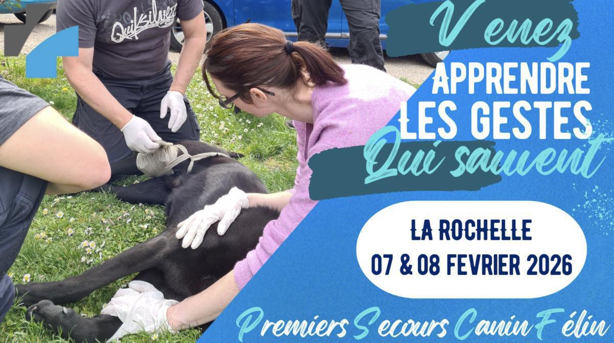 Formation aux Premiers Secours pour Chien et Chat à Humanimal