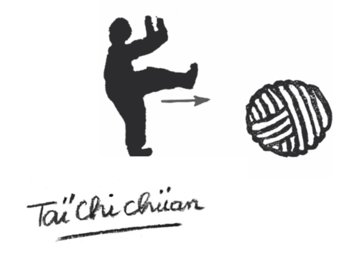 TAÏ CHI CHUAN « STYLE MÜE » à Maison Müe