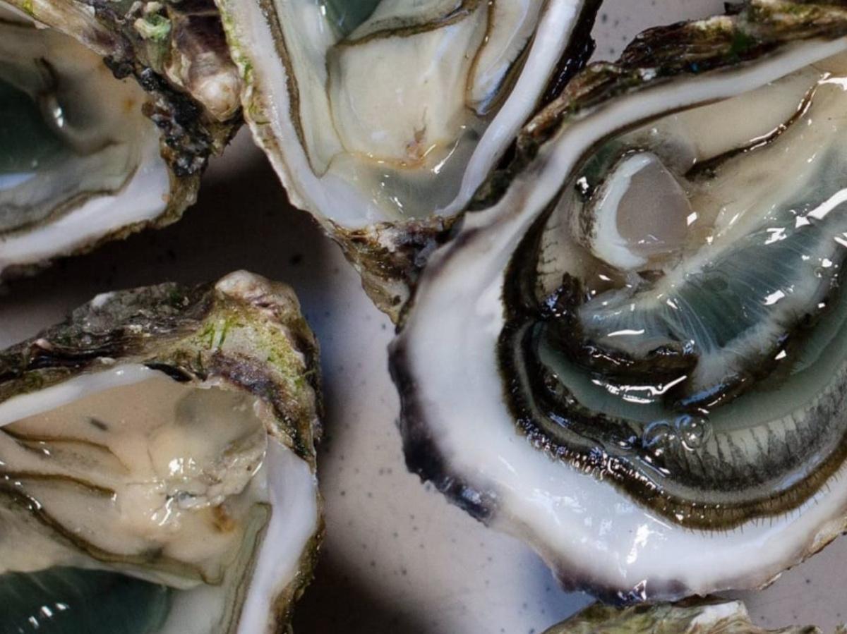 🦪 Visite Ostréicole et dégustation d'huîtres sur l'Île de Ré