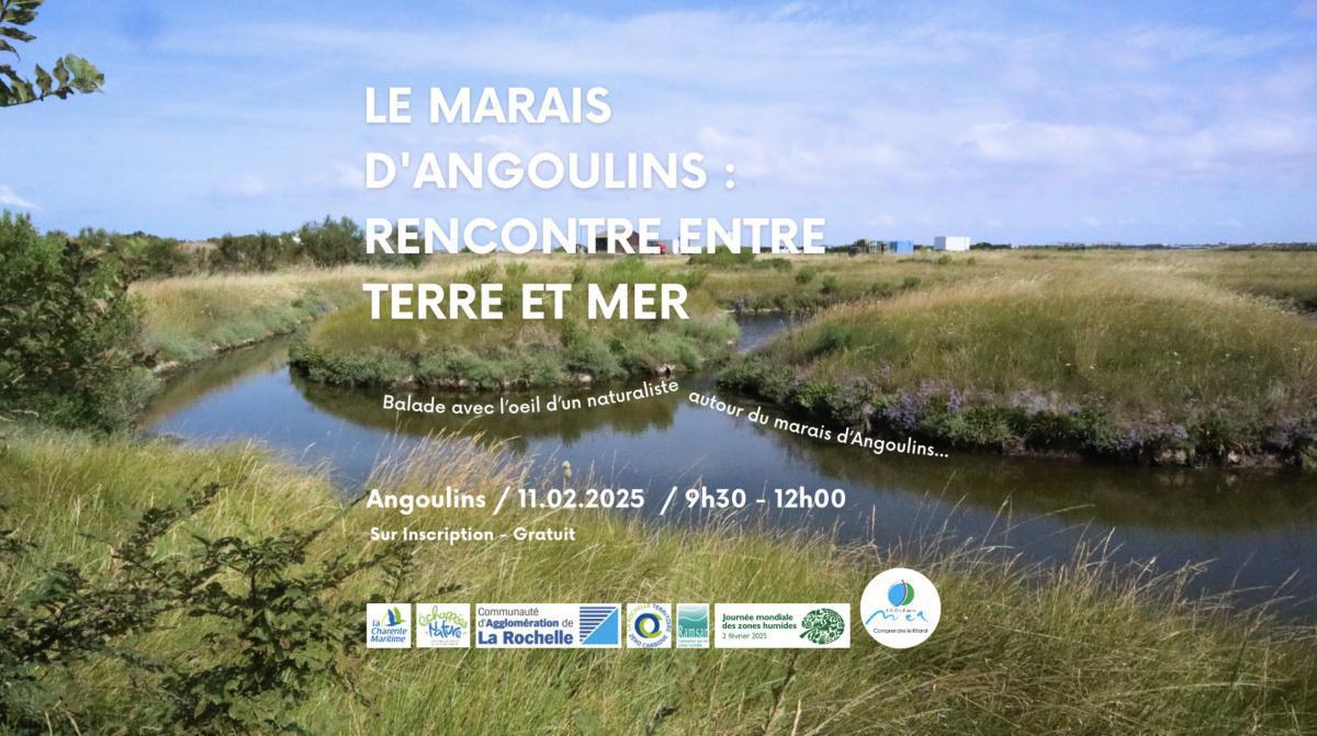 Le marais d'Angoulins : rencontre entre terre et mer 