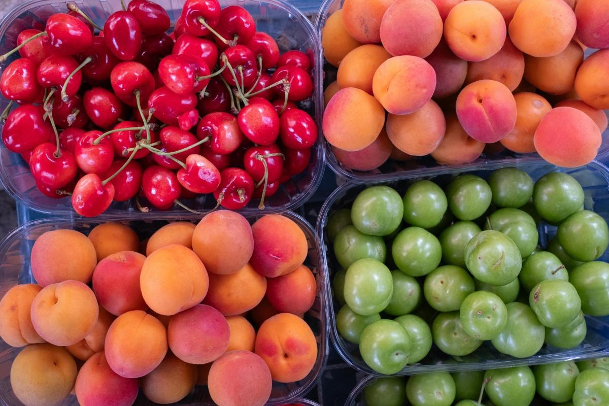 Marché La Rochelle : Jours, Horaires et Meilleurs Spots de l'Agglo Marché La Rochelle : Jours, Horaires et Meilleurs Spots de l'Agglo