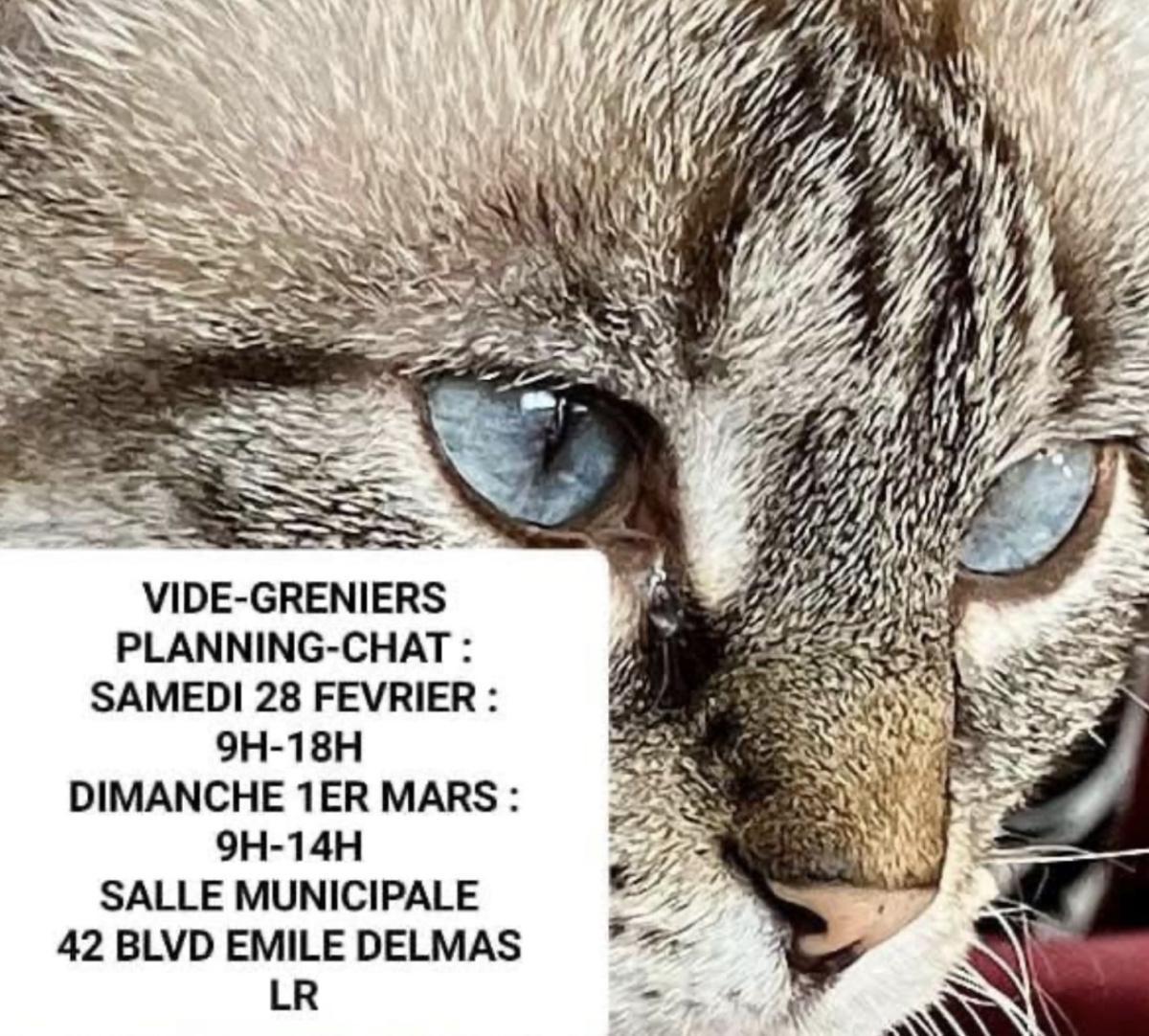 Vide greniers en salle à Salle des Fêtes de La Pallice