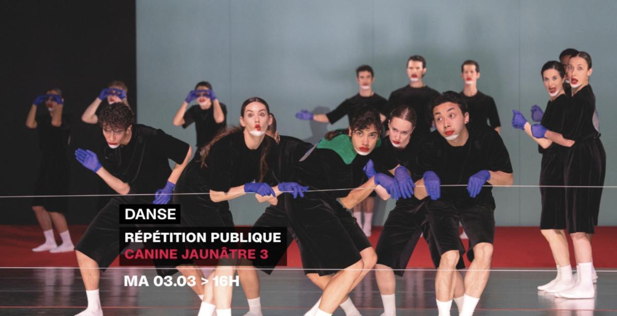 Répétition publique du Ballet de l'Opéra de Lyon à La Coursive Répétition publique du Ballet de l'Opéra de Lyon à La Coursive