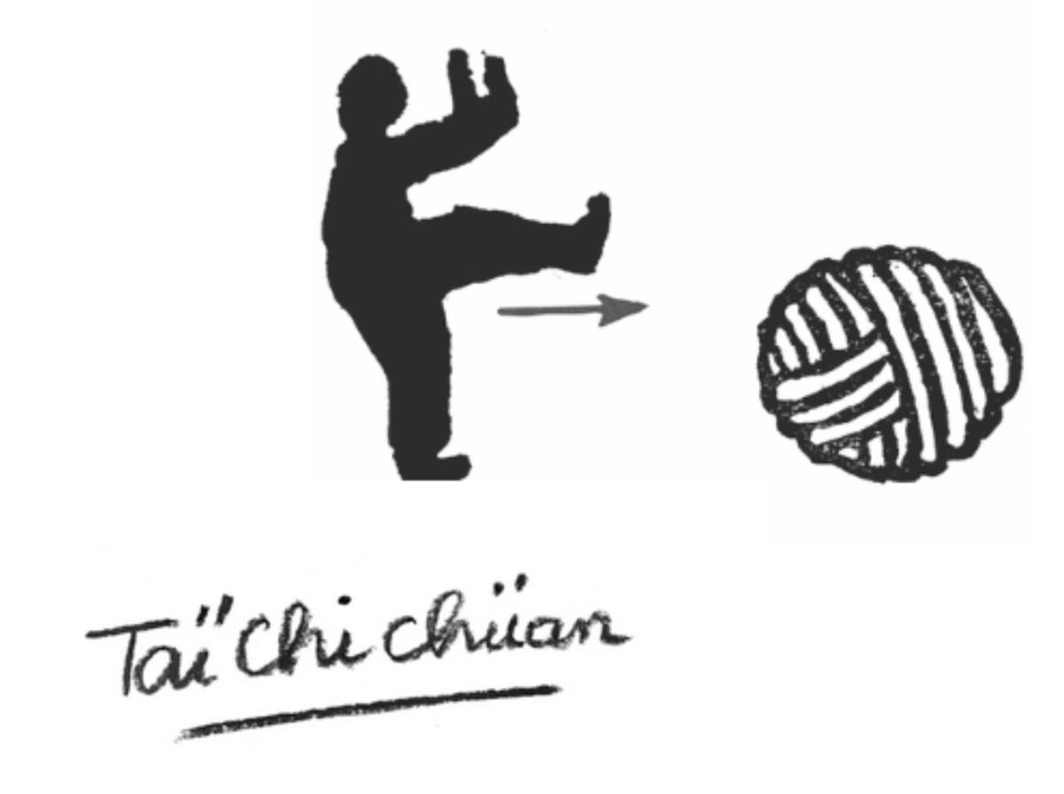 Taï Chi Chuan « Style Müe » à la Maison Müe