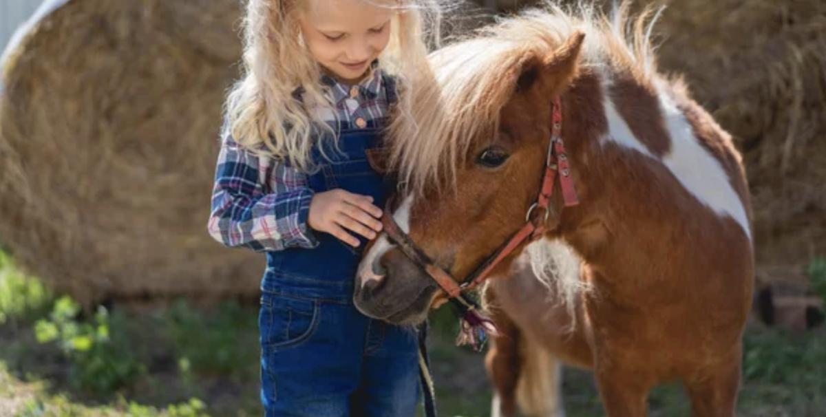 Balade en poney à La Maison du Poney