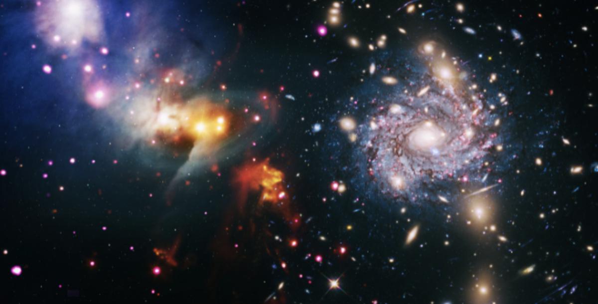 "La tête dans les étoiles" au Muséum de La Rochelle "La tête dans les étoiles" au Muséum de La Rochelle