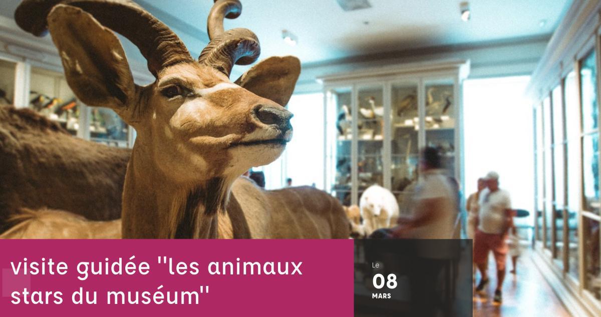 visite guidée "les animaux stars du muséum" au Muséum d'Histoire naturelle