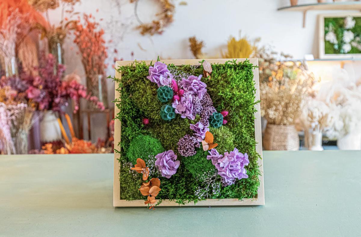 Fabriquez votre cadre végétal avec Claire Fabriquez votre cadre végétal avec Claire