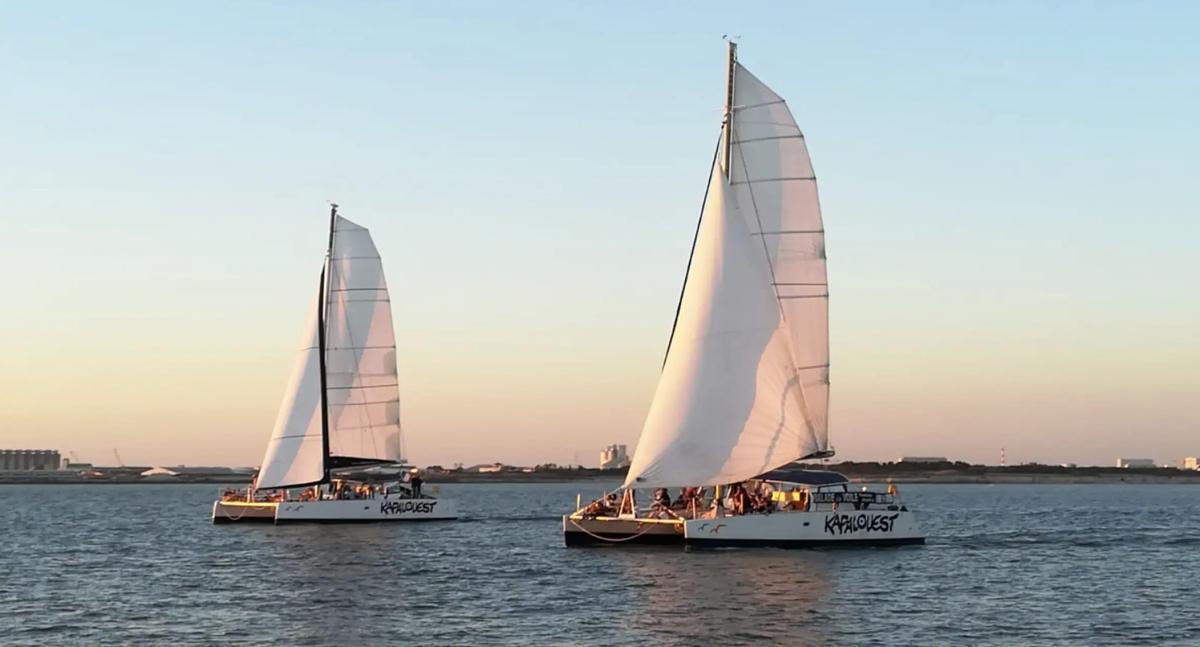 Croisière en catamaran au vieux port