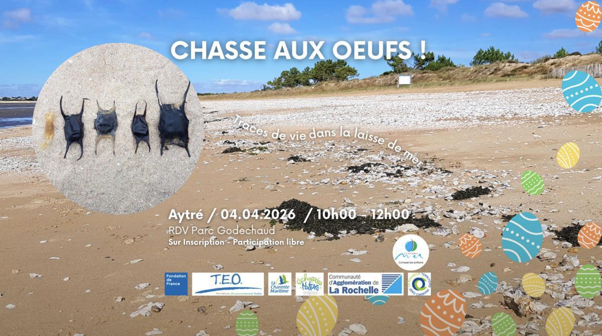 Chasse aux œufs de la laisse de mer à la Plage d'Aytré