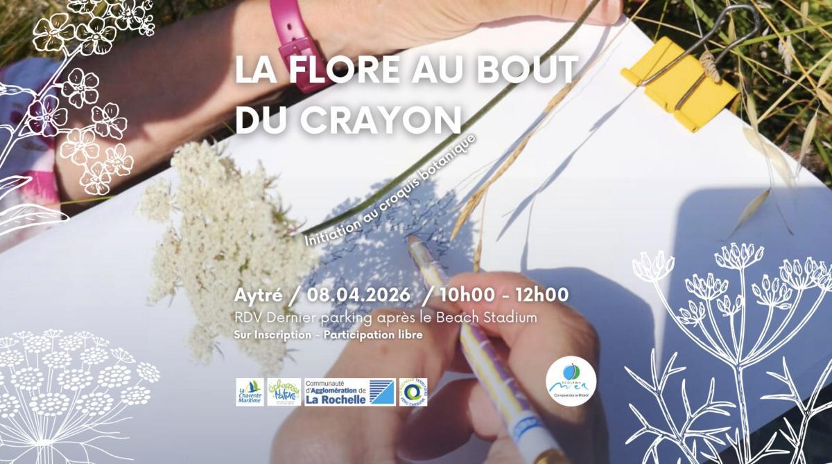 Sortie Nature - La flore au bout du crayon à Aytré