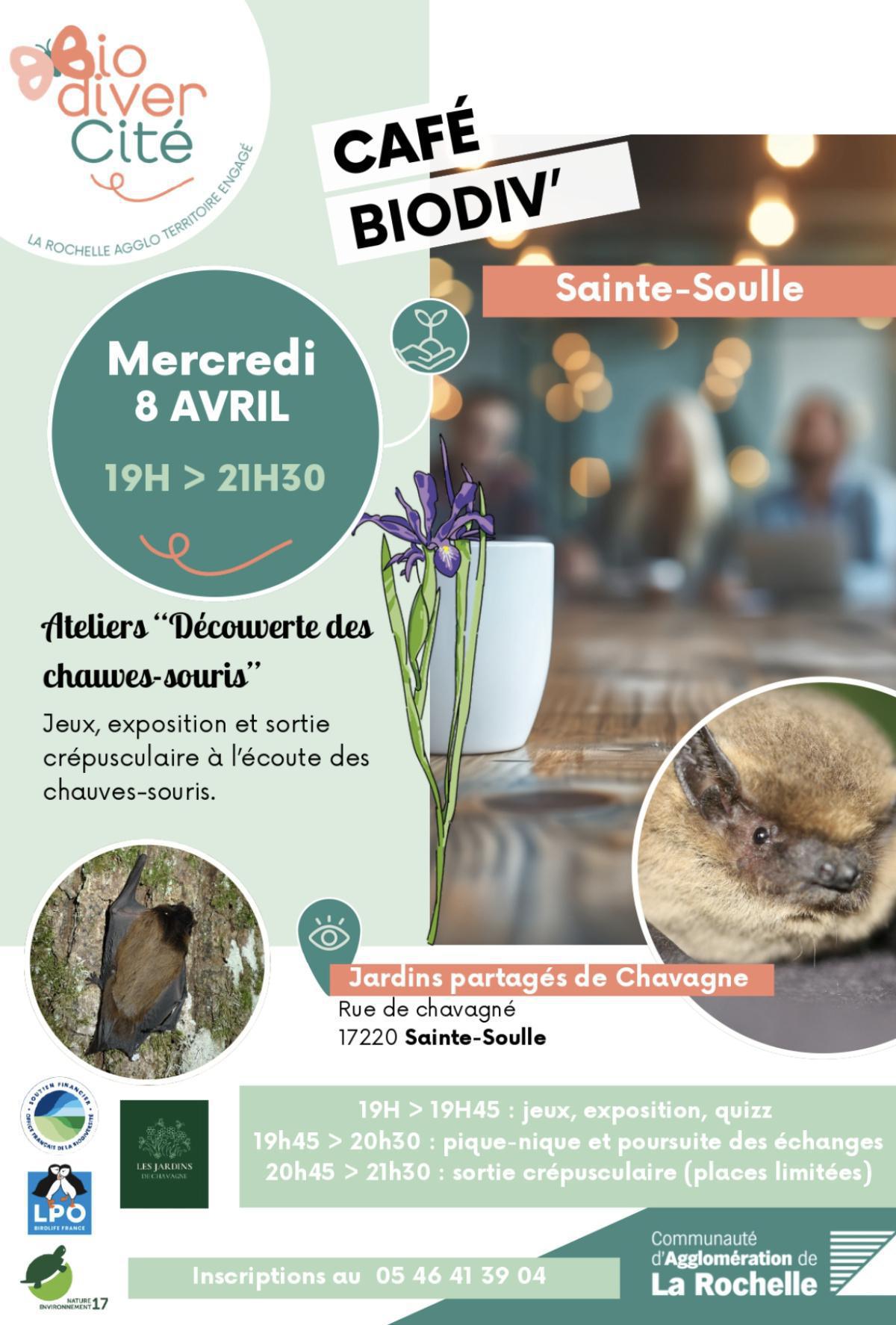 Ateliers "Découverte des chauves-souris" aux Jardins partagés de Chavagne