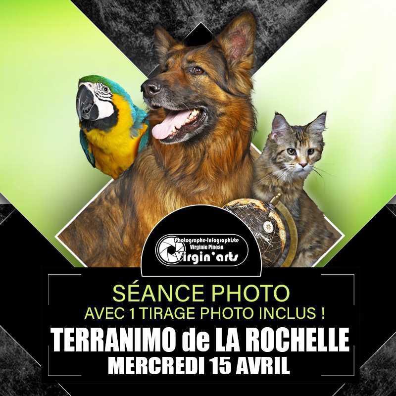 Séance photo offerte pour vos animaux chez Terranimo