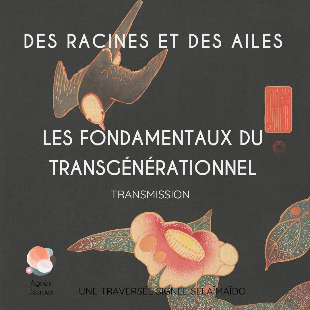 ⭐️ Les Fondamentaux du Transgénérationnel ⭐️ Les Fondamentaux du Transgénérationnel