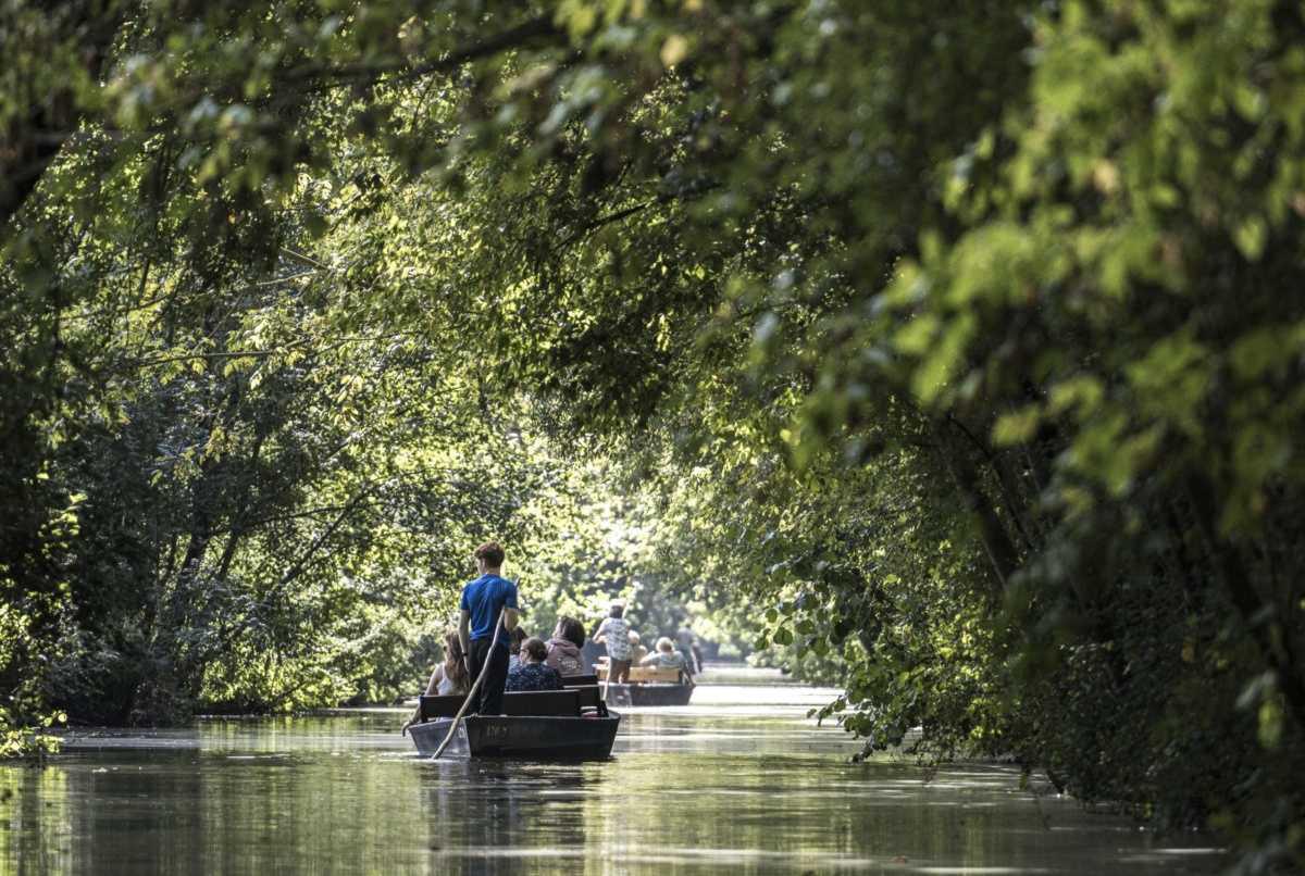 Excursion au Marais Poitevin depuis La Rochelle : la Venise Verte en 2026