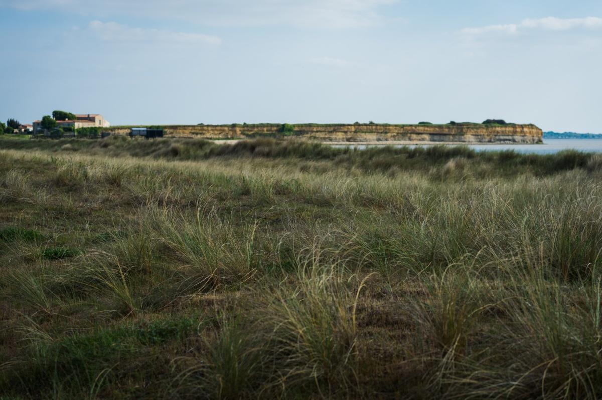 Visite guidée La Réserve Naturelle au Fil des Saisons à Yves