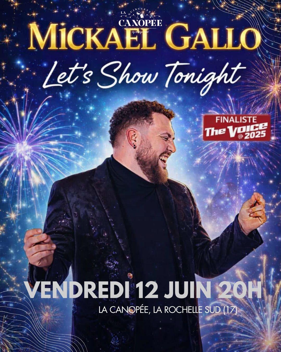 Mickael Gallo en concert à La Canopée de La Jarne