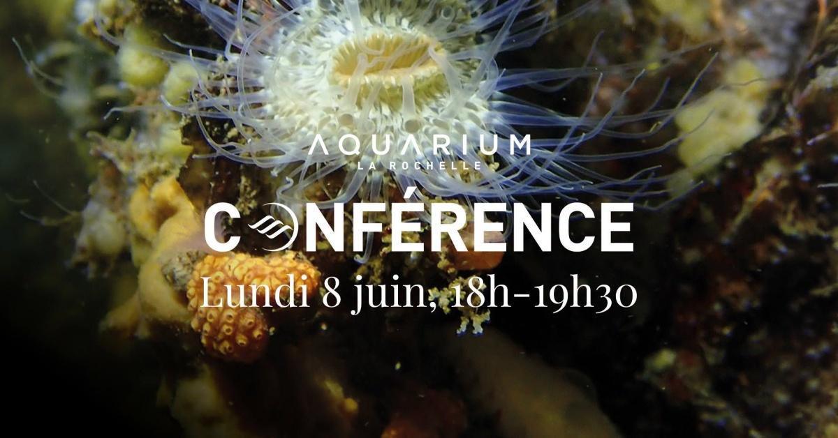 Conférence biodiversité portuaire à l'Aquarium de La Rochelle