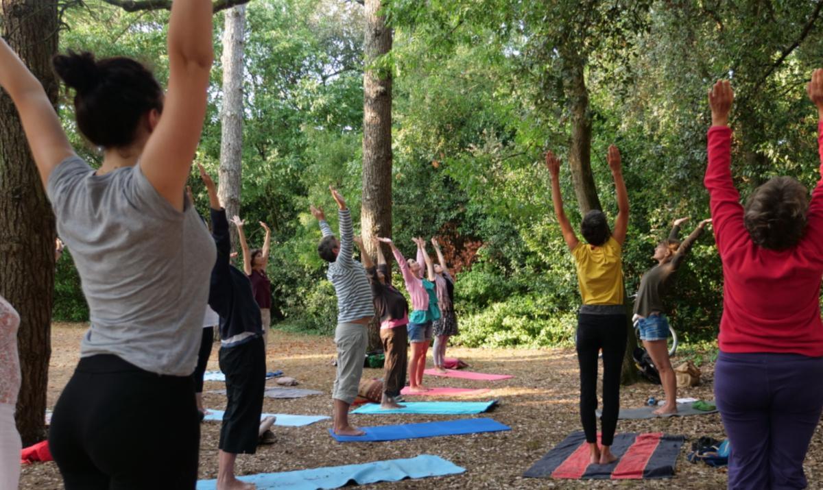Yoga sous les arbres au Parc Franck Delmas à La Rochelle