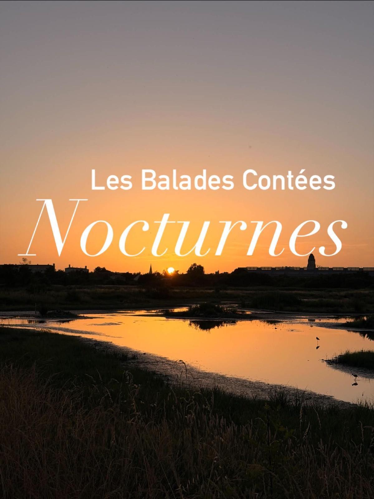 Balade contée nocturne au Marais de Tasdon