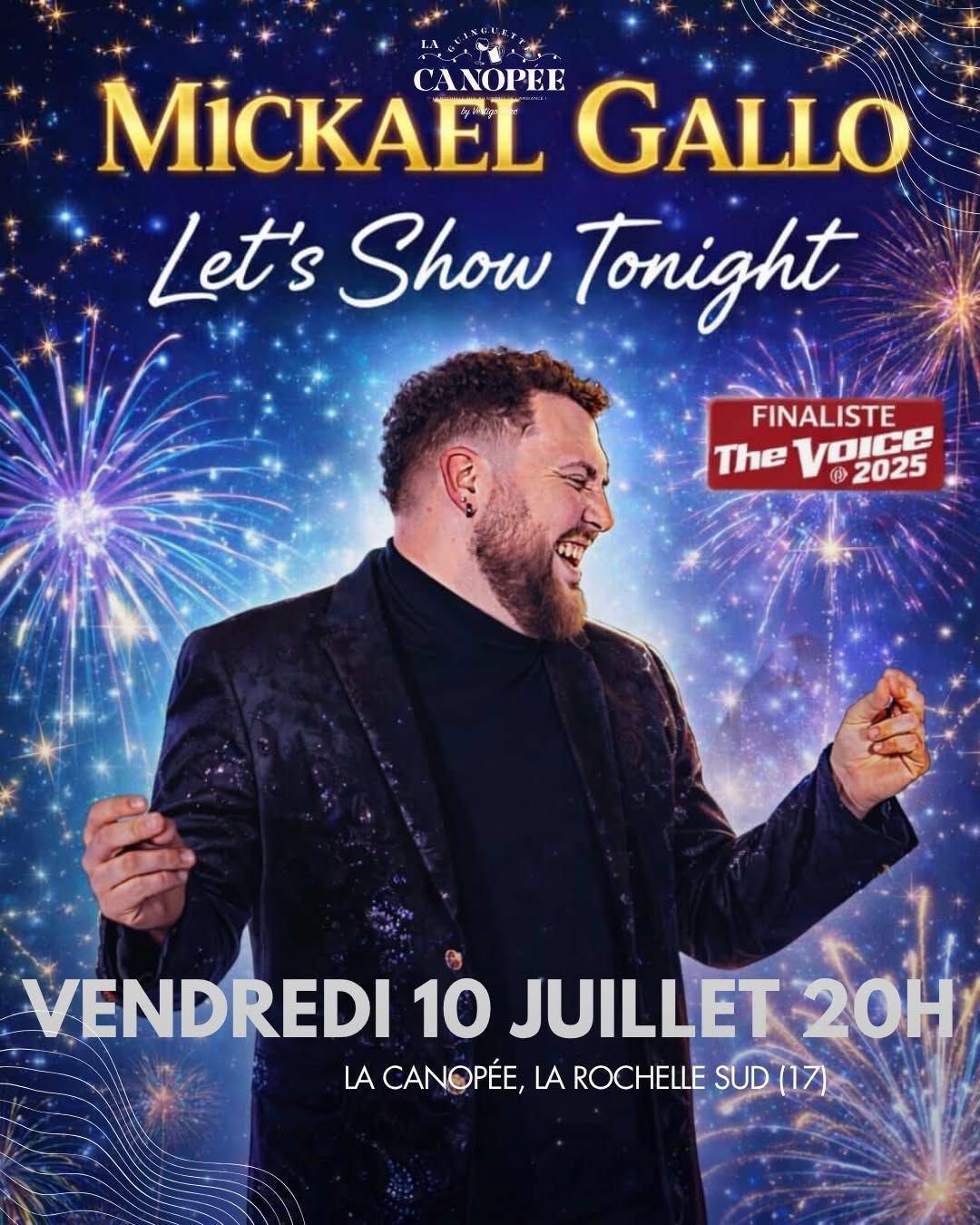 Concert Mickael Gallo à La Canopée