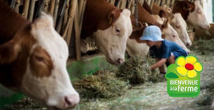 Ateliers petits fermiers à la Ferme du Grand Chemin