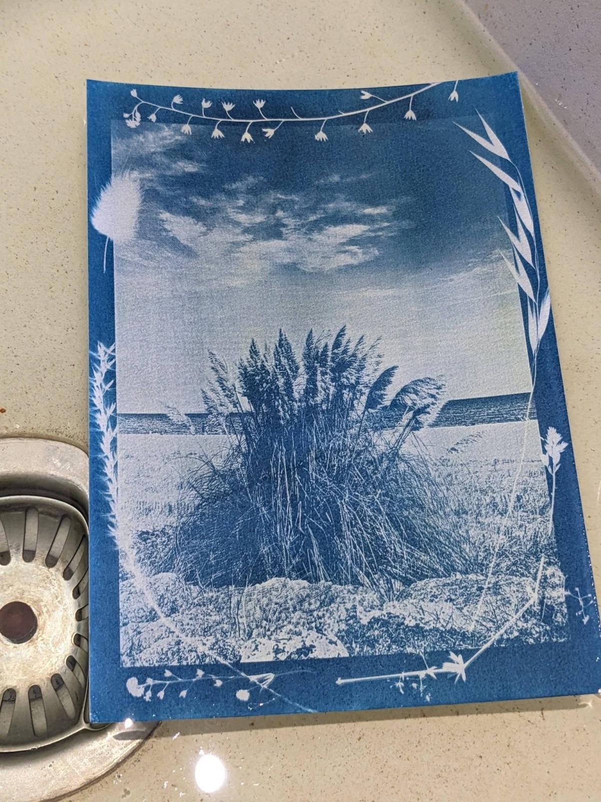 Atelier Cyanotype aux Ateliées Atelier Cyanotype aux Ateliées