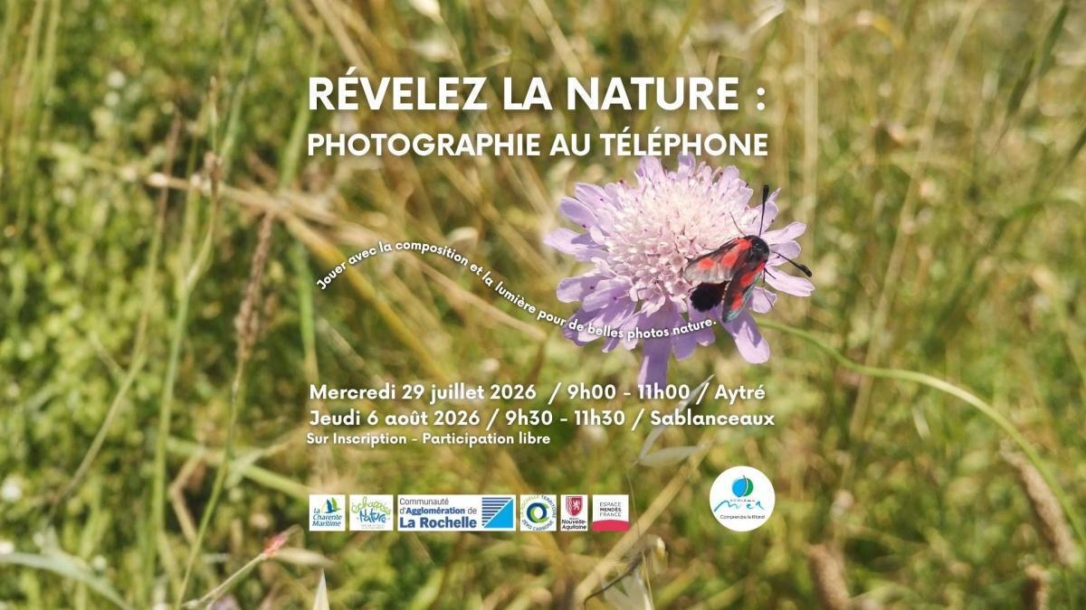 Révélez la Nature : Photographie au Téléphone à la Plage d'Aytré