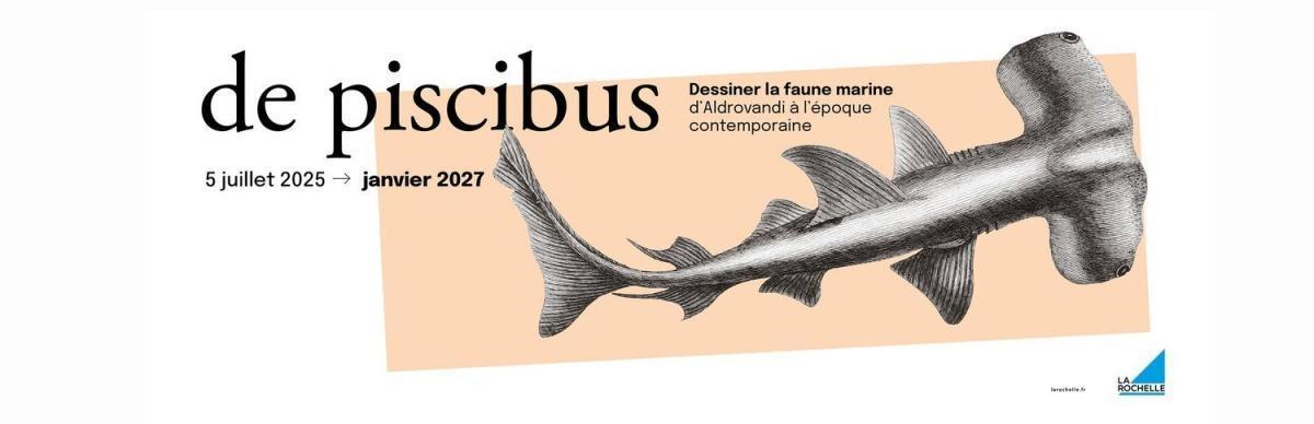 Exposition de piscibus au Muséum d'Histoire naturelle