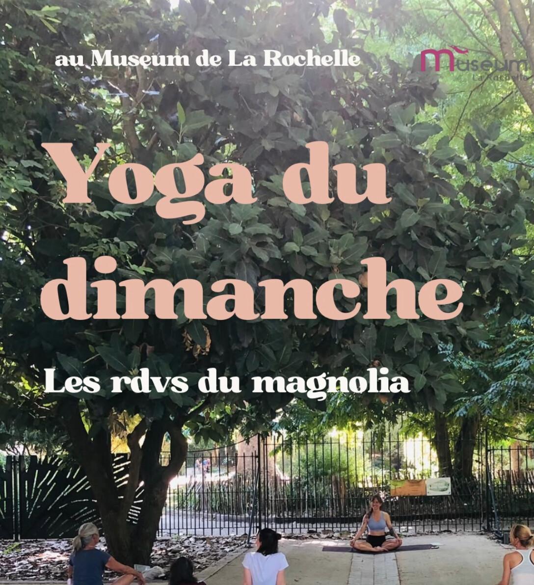 ⭐ Cours de yoga au Muséum d'Histoire Naturelle de La Rochelle