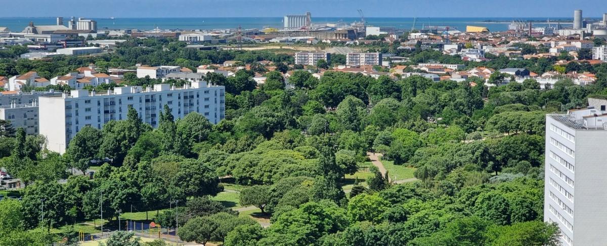 Balade urbaine à Mireuil, entre mémoire et modernité