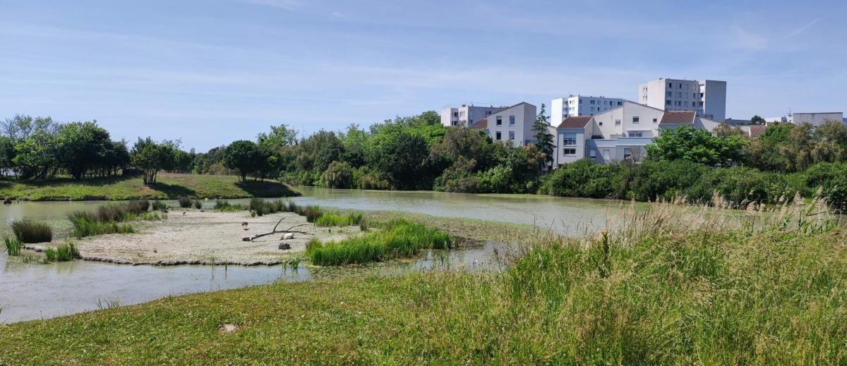 Balade urbaine à Villeneuve-les-Salines, nature et renouveau Balade urbaine à Villeneuve-les-Salines, nature et renouveau