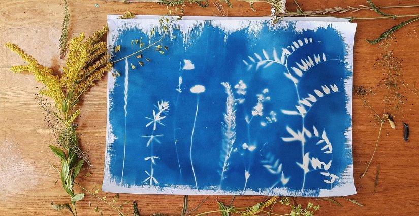 Atelier cyanotype à la médiathèque Michel-Crépeau Atelier cyanotype à la médiathèque Michel-Crépeau