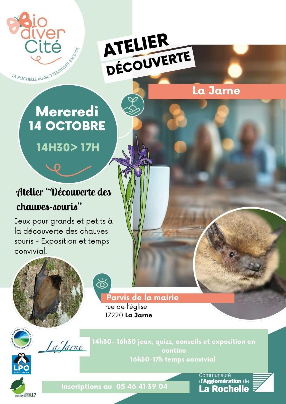 Atelier découverte des chauves-souris à La Jarne Atelier découverte des chauves-souris à La Jarne
