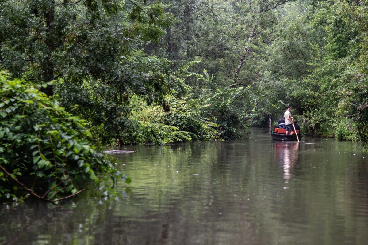 Où dormir dans le Marais poitevin ? Coulon, Arçais, Niort et la Venise verte Où dormir dans le Marais poitevin ? Coulon, Arçais, Niort et la Venise verte