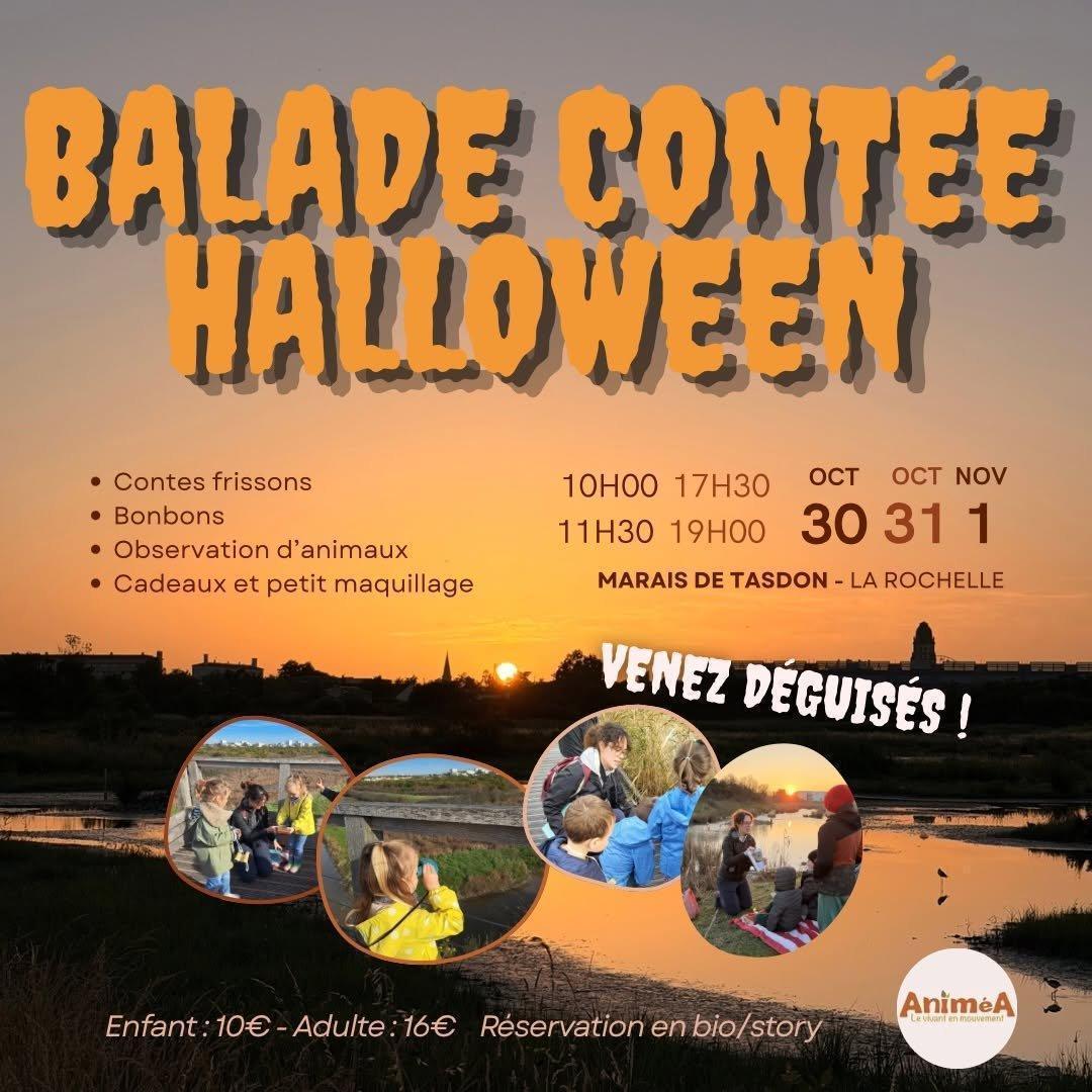 Balade contée d'Halloween semi-nocturne au Marais de Tasdon Balade contée d'Halloween semi-nocturne au Marais de Tasdon