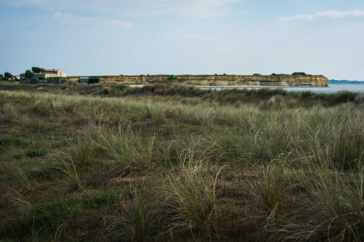 La réserve naturelle au fil des saisons, sortie nature à Yves La réserve naturelle au fil des saisons, sortie nature à Yves