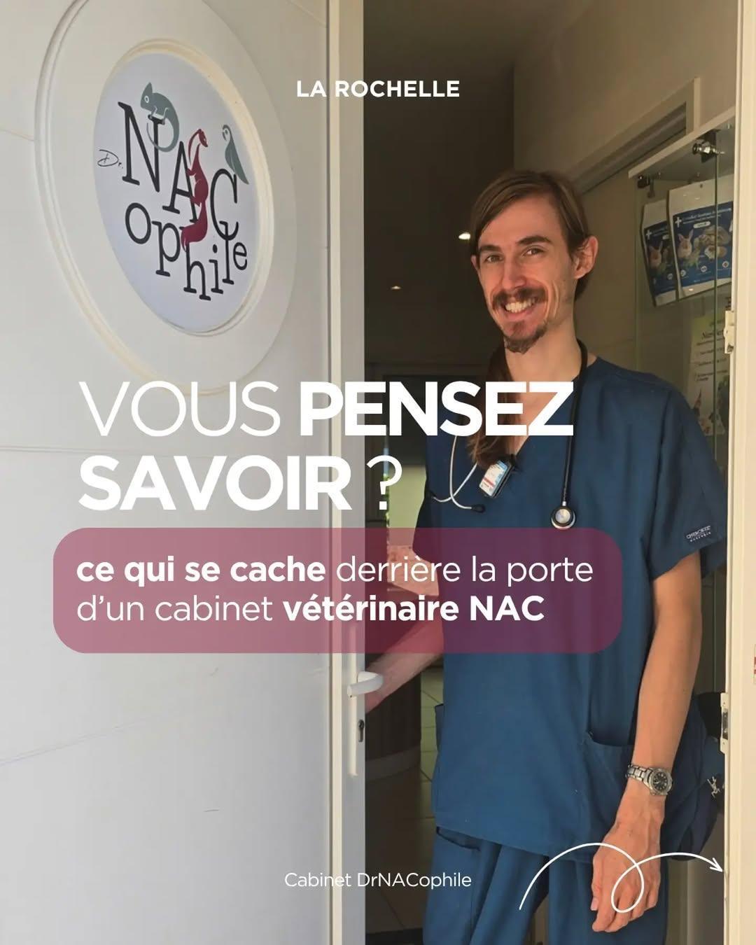 ⭐ Portes ouvertes : un cabinet vétérinaire pas comme les autres chez DrNACophile ⭐ Portes ouvertes : un cabinet vétérinaire pas comme les autres chez DrNACophile