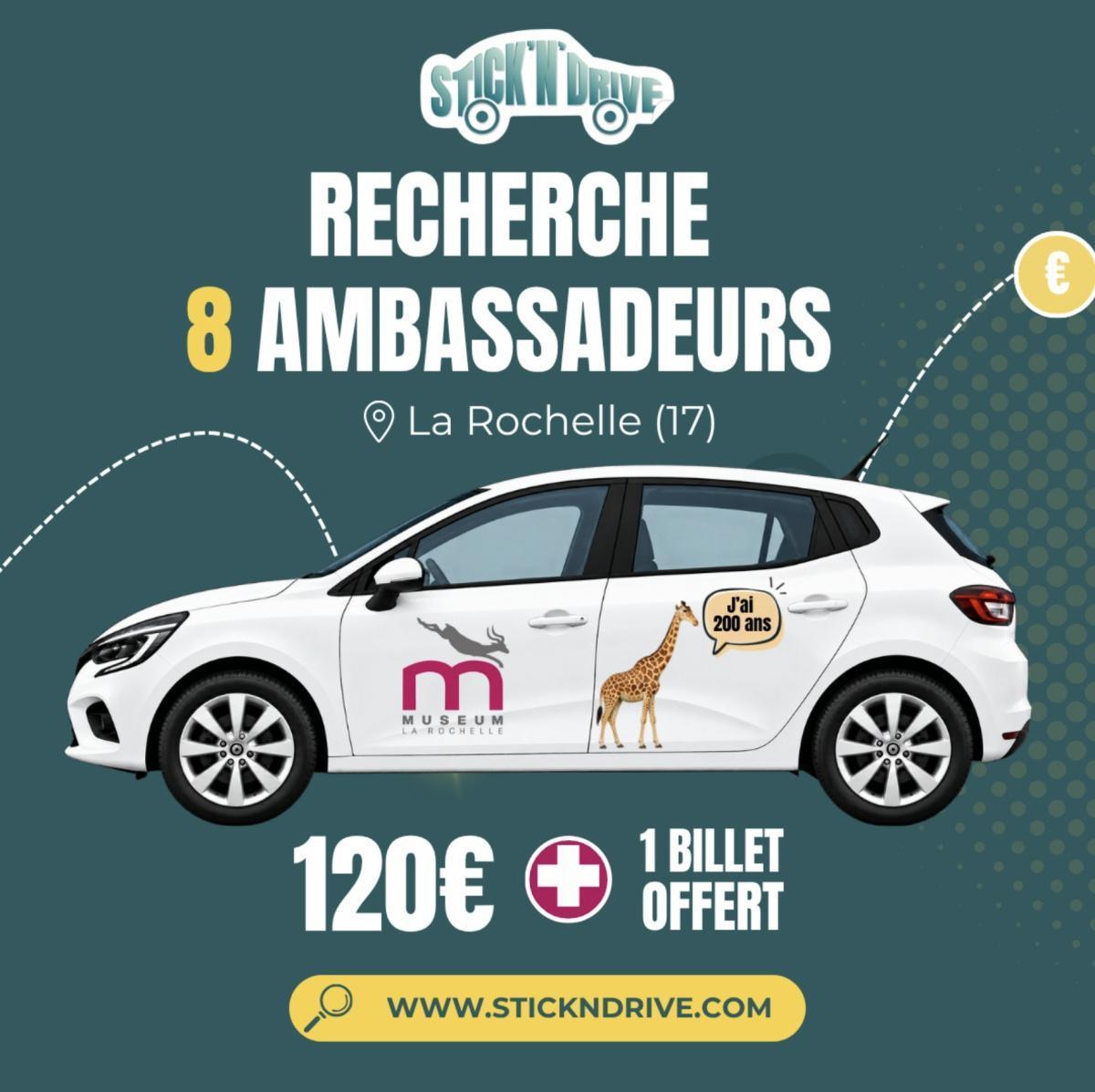 Stick'n'Drive : 120 € pour afficher Zarafa sur votre voiture à La Rochelle Stick'n'Drive : 120 € pour afficher Zarafa sur votre voiture à La Rochelle