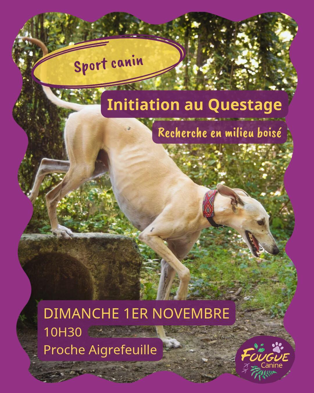 Initiation au questage à Forges Initiation au questage à Forges