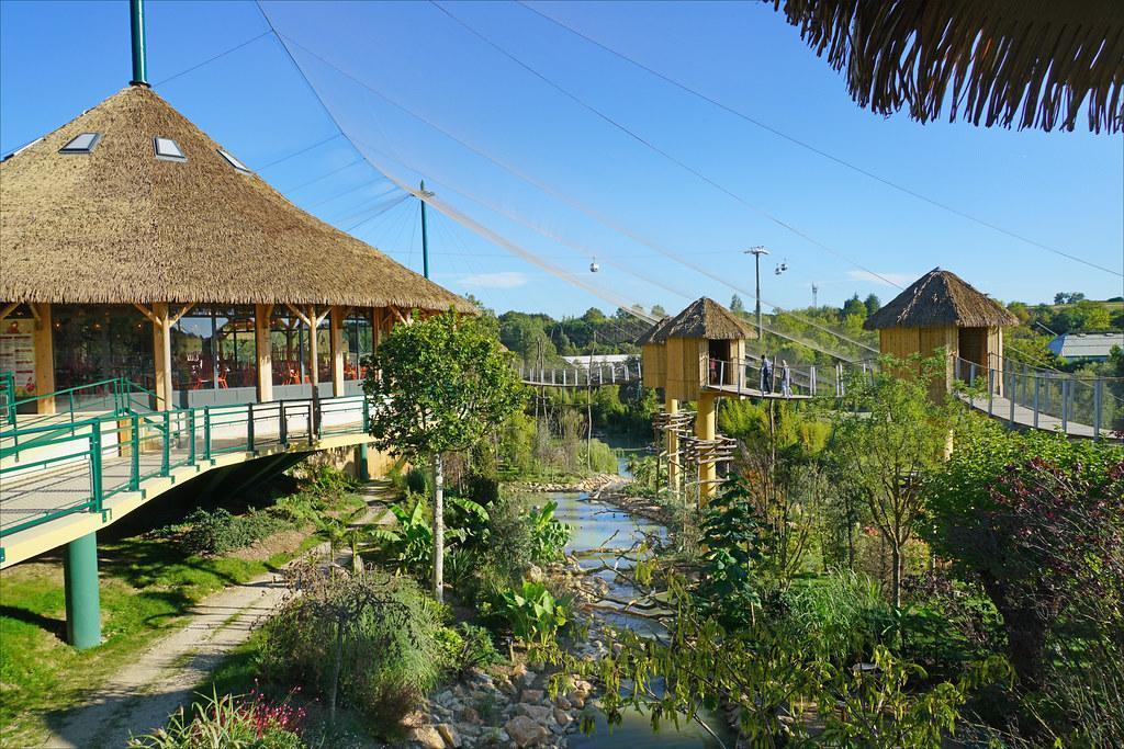 ZooParc de Beauval depuis La Rochelle : trajet, billets, visite en deux jours et où dormir ZooParc de Beauval depuis La Rochelle : trajet, billets, visite en deux jours et où dormir