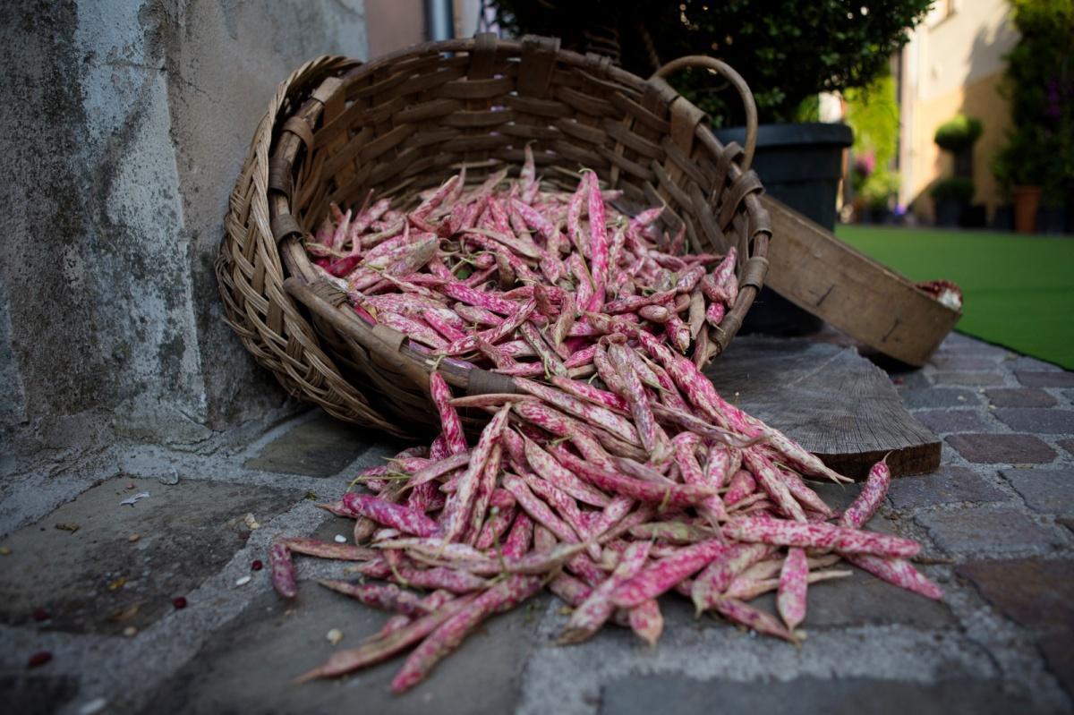 Sagra del Fagiolo Sagra del Fagiolo